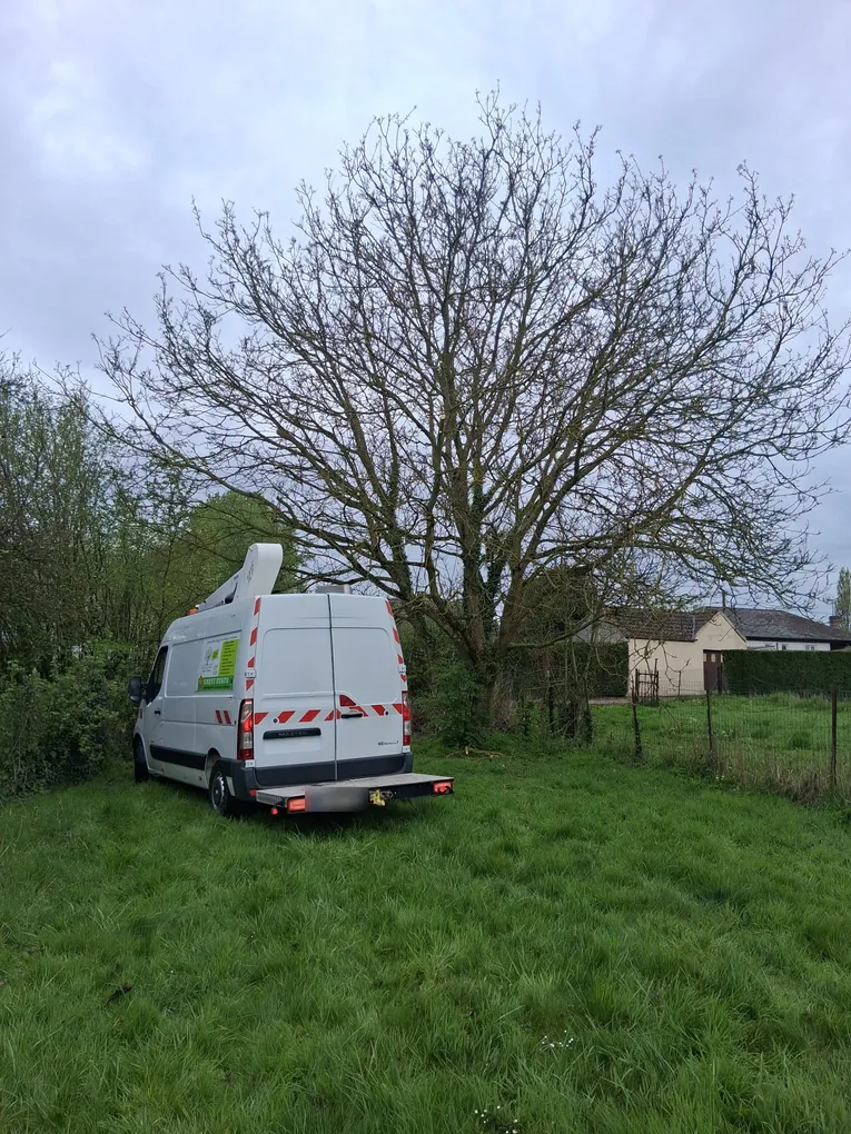 Fourgon nacelle Zacharie Élagage stationné dans un pré devant un grand arbre sans feuilles