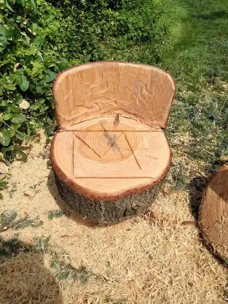 Travail artistique sur tronc bord Loire — Zacharie Élagage Gennes