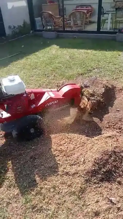 Rognage d'une souche à la rogneuse — image extraite de la vidéo