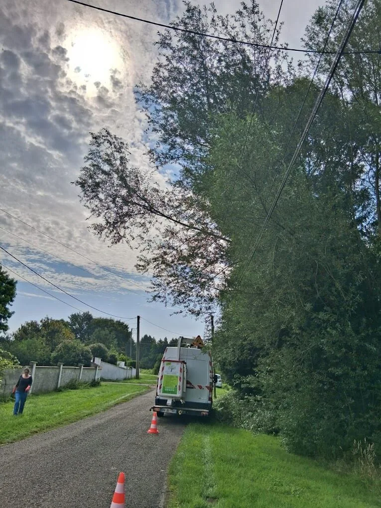 Chantier d'élagage balisé en bord de route à Abbeville — Zacharie Élagage