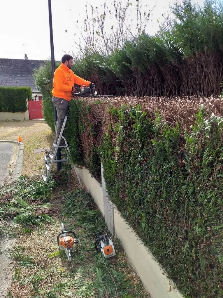 Taille de haie le long d'une rue de village à Boves — Zacharie Élagage